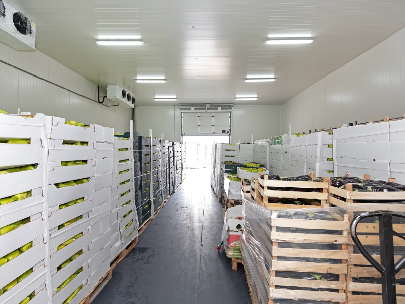armazenamento de alimentos refrigerados e fundamentos