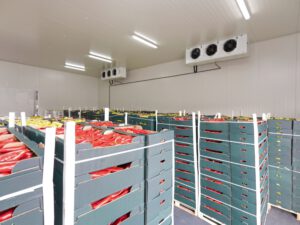 armazenamento de alimentos refrigerados
