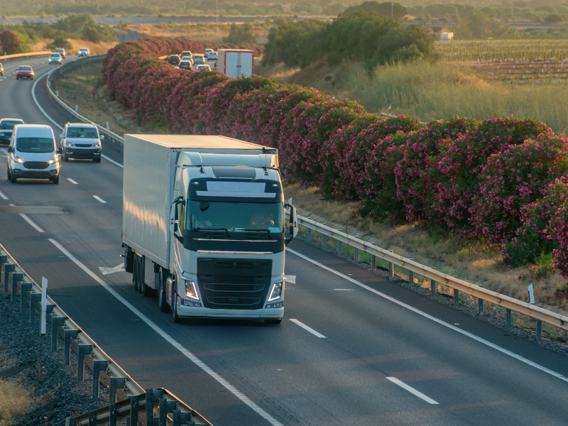 como evitar o desperdício de alimentos no transporte e impactos