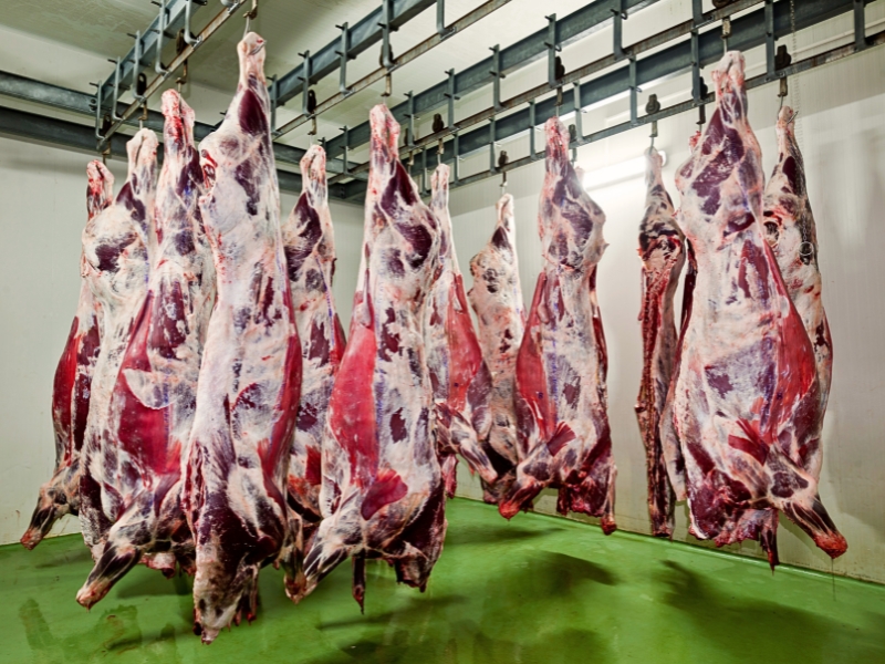 como fazer transporte comida congelada​ e carnes