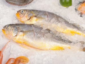 como fazer transporte comida congelada_