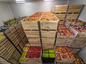 como transportar alimentos perecíveis