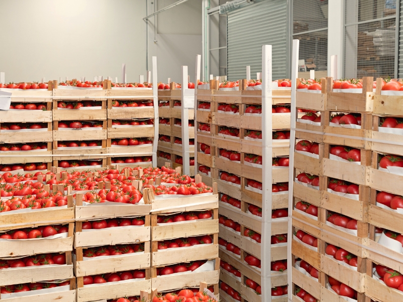 perda de alimentos no transporte e fatores