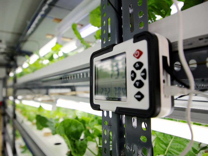 perda de alimentos no transporte e tecnologia