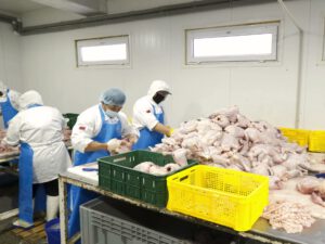 perda de alimentos no transporte