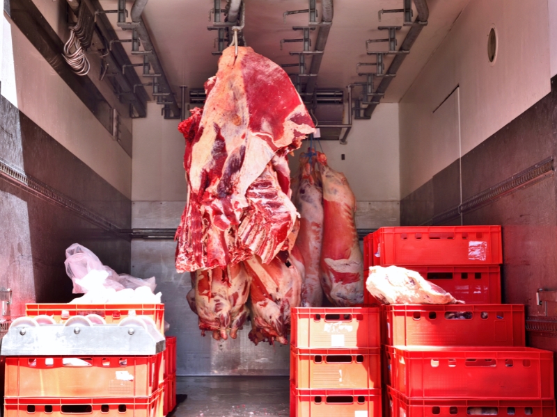 temperatura de transporte de alimentos congelados e regulamentações